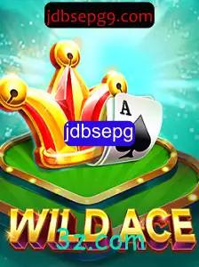 Descubra o Mundo de WildAce: Tudo Sobre o Novo Fenômeno dos Jogos